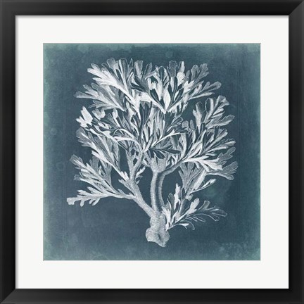 Framed Azure Coral IV Print