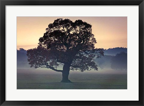 Framed Evening Wisdom Print