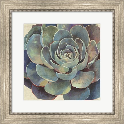 Framed Succulence I Print