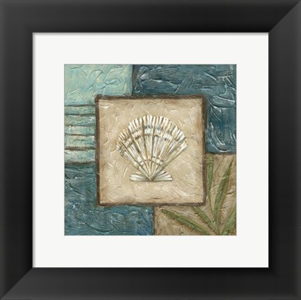 Framed Shell Montage II Print