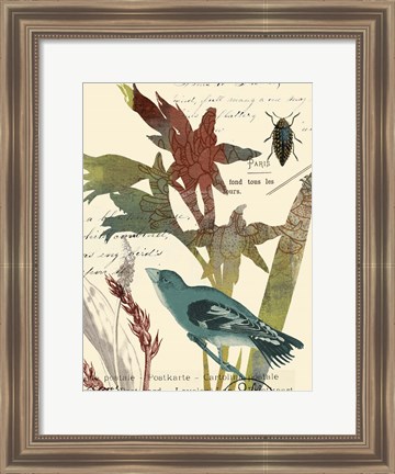 Framed Exotic Blossom II Print