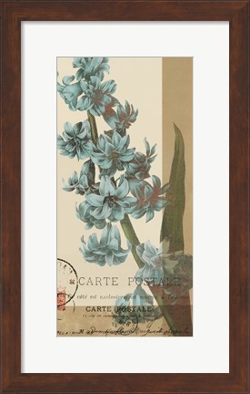 Framed French Blue III Print