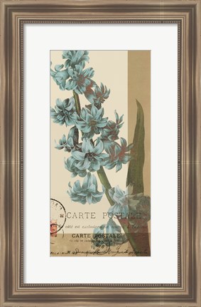 Framed French Blue III Print