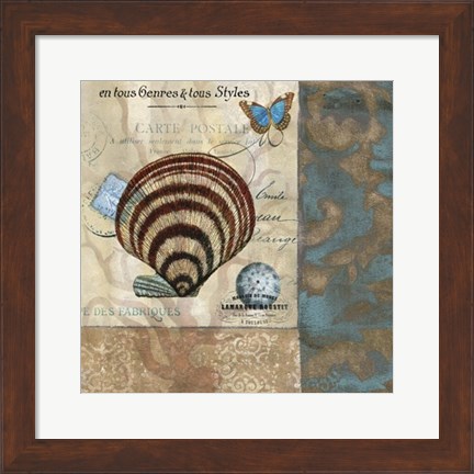 Framed Botticelli Shell II Print