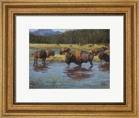 Framed Buffalo Crossing Print
