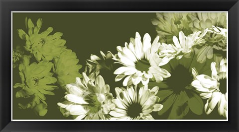 Framed Daisy Garden I Print