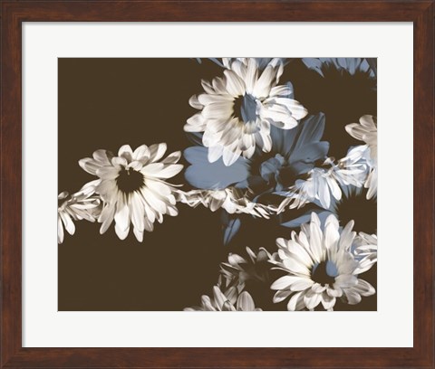 Framed Chocolate Bloom II Print