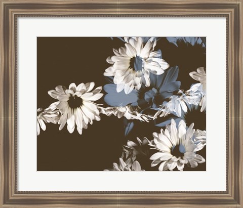 Framed Chocolate Bloom II Print