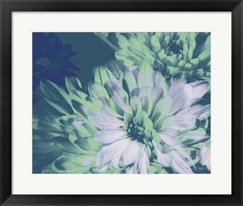 Framed Teal Bloom II Print