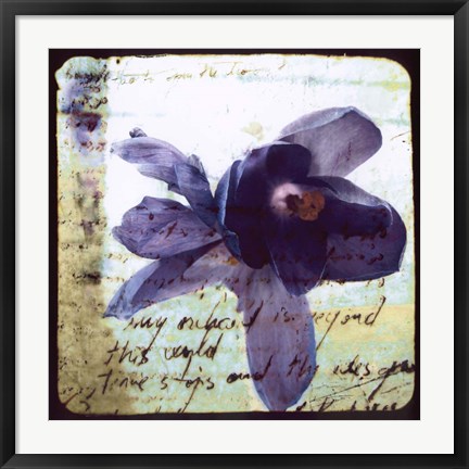 Framed Blooming Purple II Print