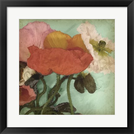 Framed Aquatic Poppies II Print