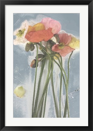 Framed Poppy Spray I Print