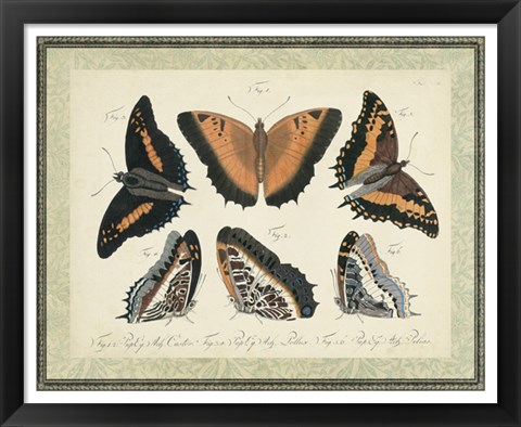 Framed Bookplate Butterflies Trio I Print