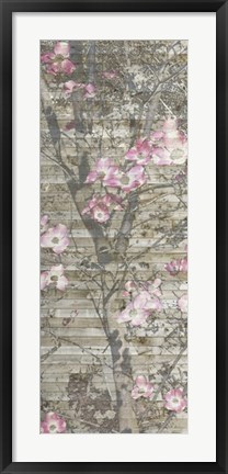 Framed Dogwood Dance II Print