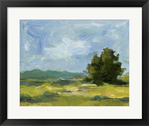 Framed Field Color Study II Print