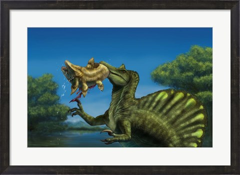 Framed Spinosaurus dinosaur fishing Mawsonias in a mangrove Print