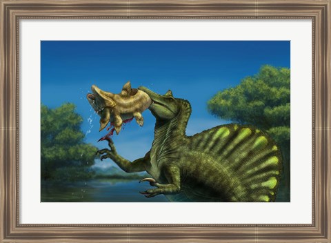 Framed Spinosaurus dinosaur fishing Mawsonias in a mangrove Print