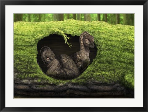 Framed pair of juvenile troodons in the hollow of a tree Print