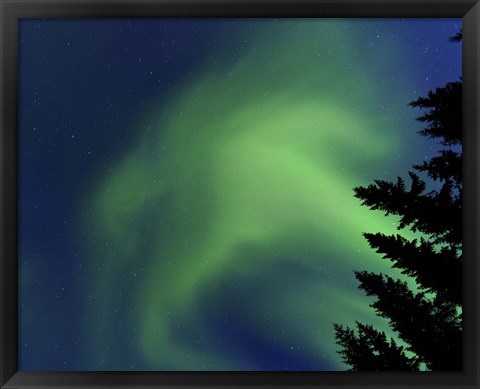 Framed Aurora Borealis in Troms County, Norway Print