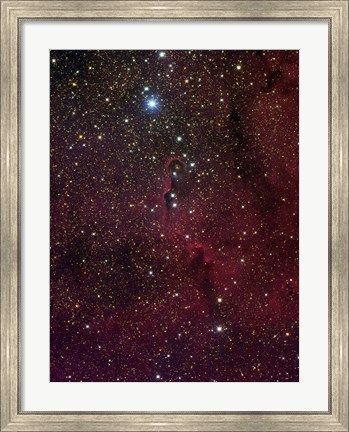 Framed Elephant&#39;s trunk nebula inside IC 1396 Print