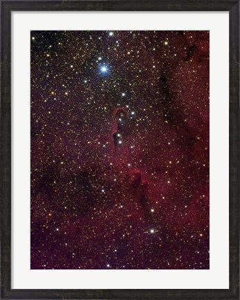 Framed Elephant&#39;s trunk nebula inside IC 1396 Print