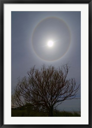 Framed 22 degrees halo around the 2013 supermoon Print