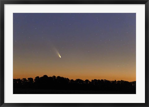 Framed Comet Panstarrs at twilight,  Buenos Aires, Argentina Print