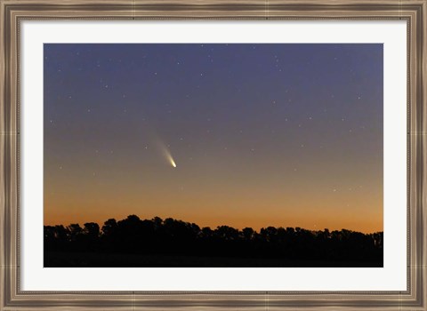 Framed Comet Panstarrs at twilight,  Buenos Aires, Argentina Print