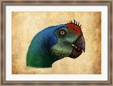 Framed Oviraptor head detail Print