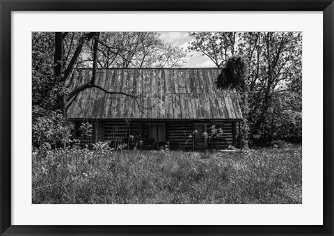 Framed Abandoned Log Home Print