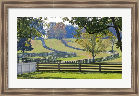 Framed Stacked Split-Rail Fences in Appomattox, Virginia Print