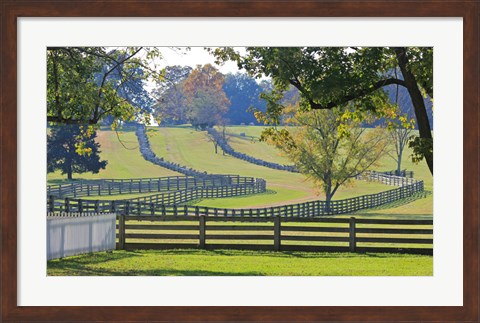 Framed Stacked Split-Rail Fences in Appomattox, Virginia Print