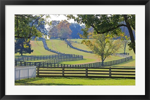 Framed Stacked Split-Rail Fences in Appomattox, Virginia Print