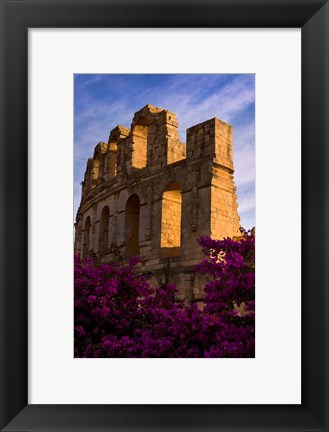 Framed Ancient Roman Amphitheater with flowers, El Jem, Tunisia Print