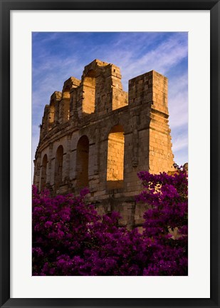 Framed Ancient Roman Amphitheater with flowers, El Jem, Tunisia Print
