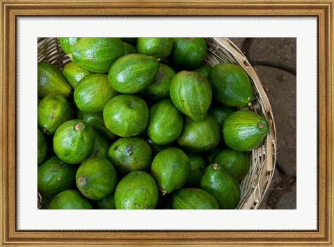 Framed Benin, Ouidah, Produce Market Avocados Print