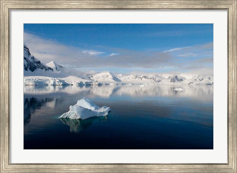 Framed Antarctica Print