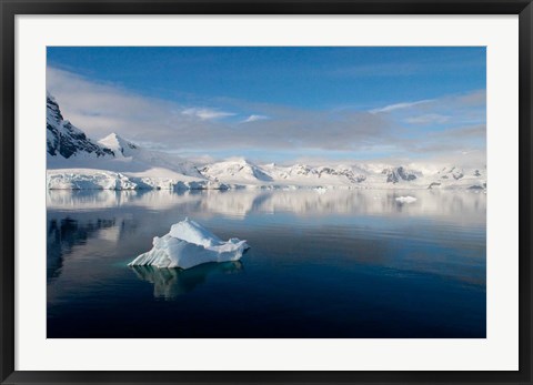 Framed Antarctica Print