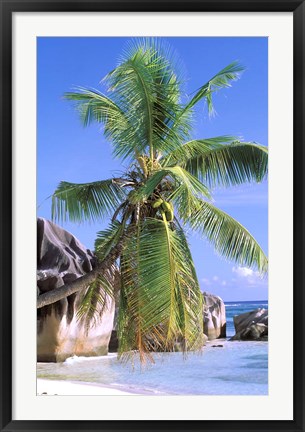 Framed Granite Outcrops, La Digue Island, Seychelles, Africa Print