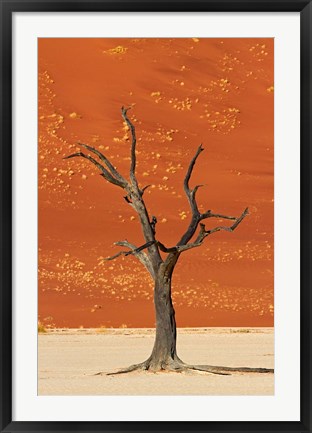 Framed Dead tree, sand dunes, Deadvlei, Namib-Naukluft National Park, Namibia Print