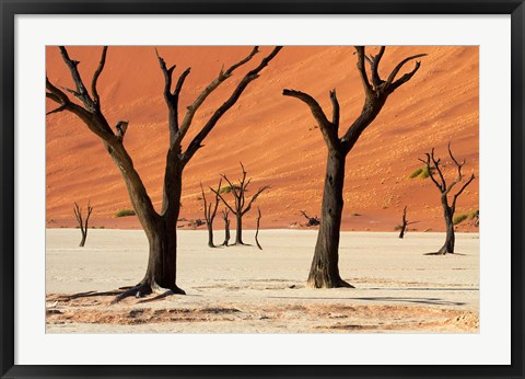 Framed Dead trees with sand dunes, Namibia Print