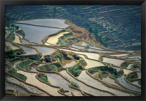 Framed Flooded Rice Terraces of Honghe, China Print