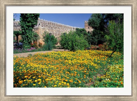 Framed Gardens and Crenellated Walls of Kasbah des Oudaias, Morocco Print