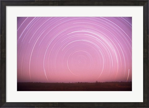 Framed Africa, Botswana, Linyanti Swamps. Star trails Print