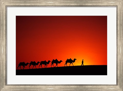 Framed Camel Caravan at Sunrise, Silk Road, China Print