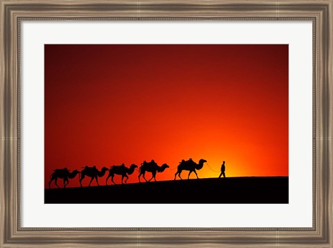 Framed Camel Caravan at Sunrise, Silk Road, China Print