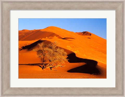 Framed Elim Dune Overcomes, Sesriem, Namib Naukluft Park, Namibia Print