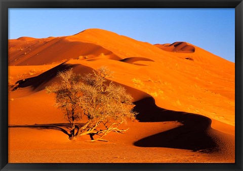 Framed Elim Dune Overcomes, Sesriem, Namib Naukluft Park, Namibia Print