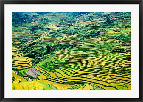 Framed China, Yuanjiang, Cloudy Sea Terrace, Agriculture Print