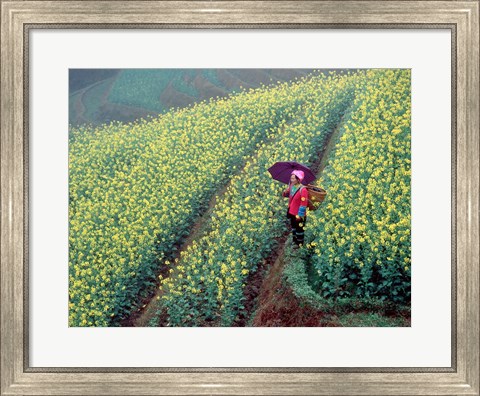 Framed Chinese Woman Walking in Field of Rapeseed near Ping&#39; an Village, Li River, China Print